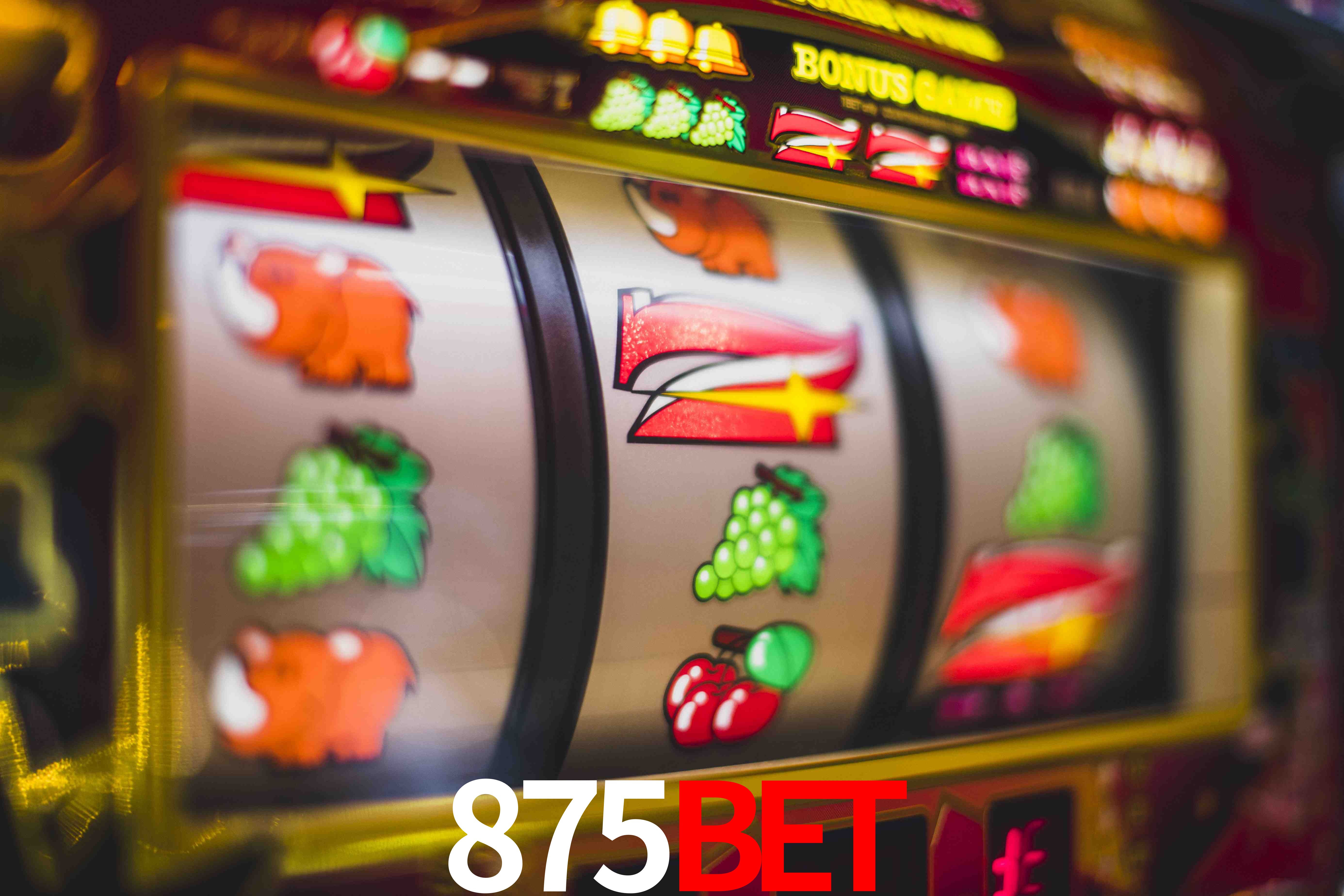 Experiência VIP 875bet